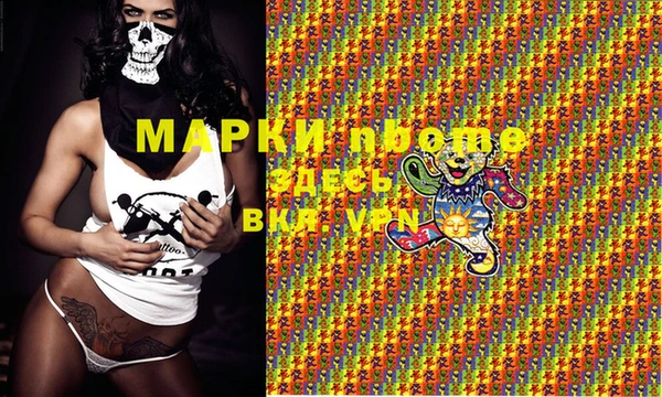 индика Зеленокумск