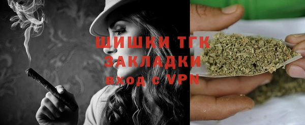 индика Зеленокумск