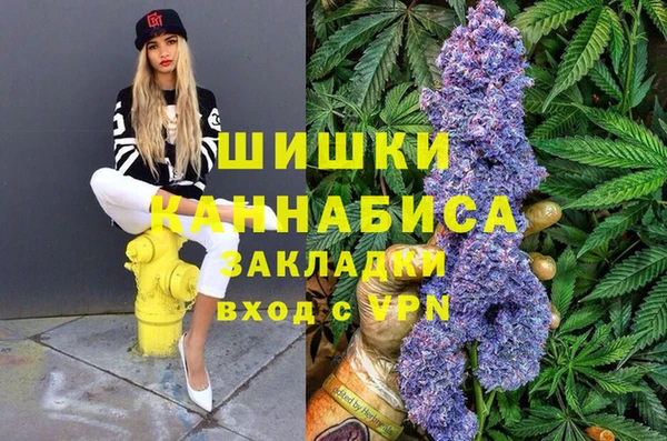 индика Зеленокумск