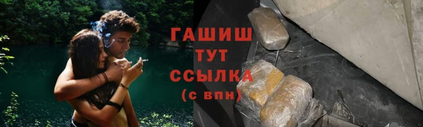 индика Зеленокумск
