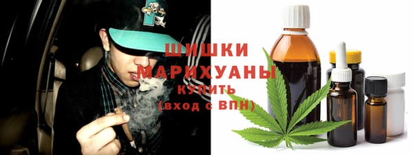 индика Зеленокумск