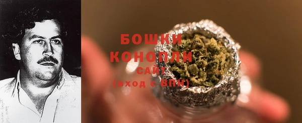 индика Зеленокумск
