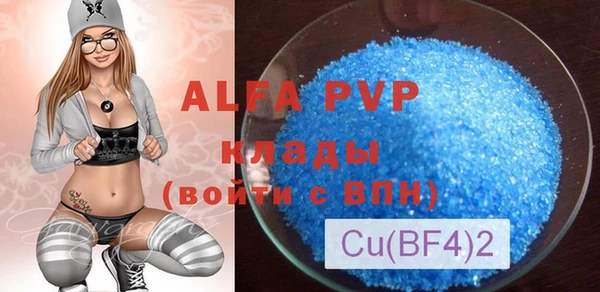 индика Зеленокумск