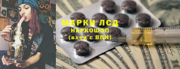 индика Зеленокумск