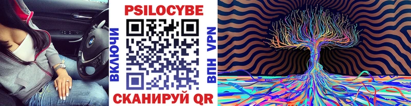 Купить закладки  Курганинск  Псилоцибиновые грибы ЛСД 